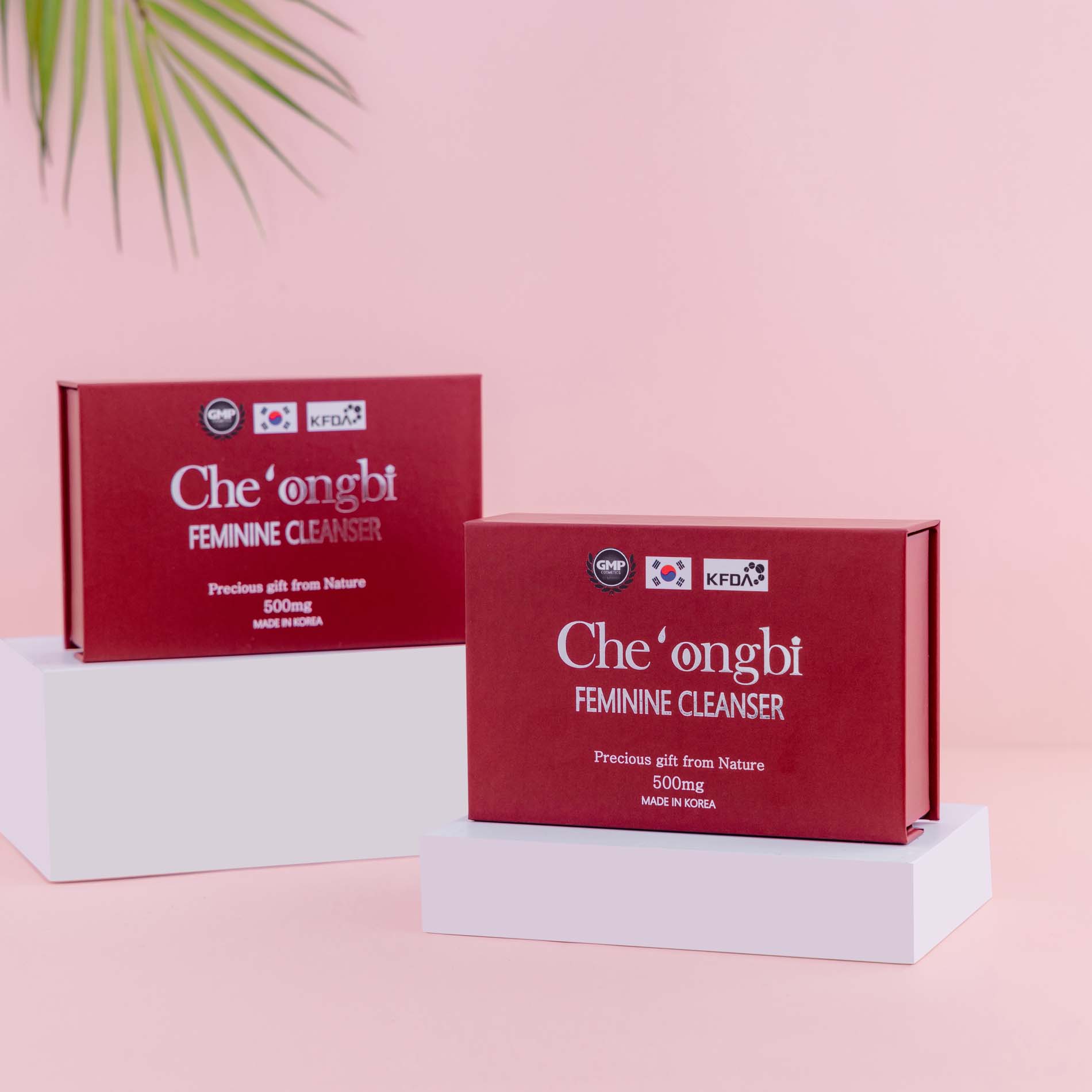 Cheongbi